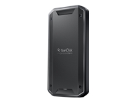 SANDISK Professional Pro G 40 Ultra Rugged 4TB SSD upto 2700MB/s R 1900MB/s W IP68 4000Lbs Crush Resistance 5Y Warranty