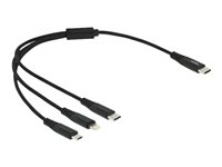 DELOCK USB Ladekabel 3 in 1 USB Type-C zu Lightning / Micro USB / USB Type-C 30cm
